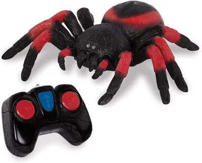 Tarantulas Shoot Silk From Feet, Spider-Man Style