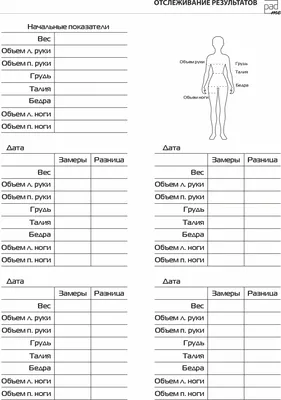 Купить постер (плакат) Для школы - Биология. Мышцы тела для интерьера