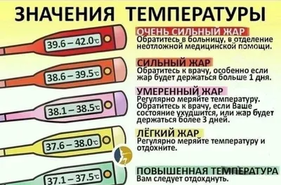 Менее 35,5: о чем говорит пониженная температура тела - 27 сентября, 2023  Статьи «Кубань 24»