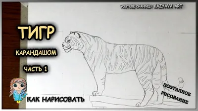 Як намалювати тигра | Уроки малювання | How to draw Tiger - YouTube