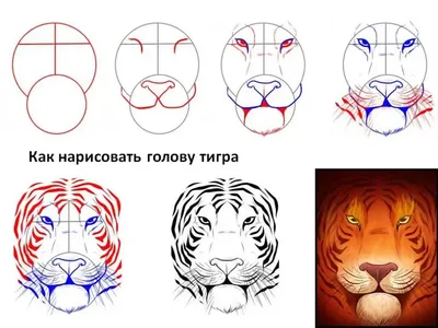 Рисунки тигра для срисовки - 78 фото