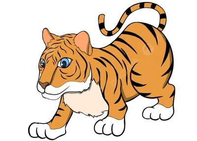 Tiger. Тигр. PNG. | Тигр, Леопард