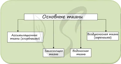 Ткань в рубчик: состав, описание и виды