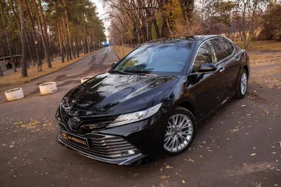 Toyota Camry 2023 купить в Москве – новая Тойота Камри, комплектации и цены  | Major — официальный дилер