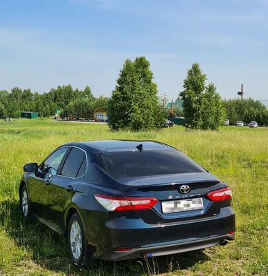 Toyota Camry 8 поколение (XV70) рестайлинг, Седан - технические  характеристики, модельный ряд, комплектации, модификации, полный список  моделей, кузова Тойота Камри