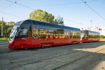 Петербургский трамвай - купить с доставкой по выгодным ценам в  интернет-магазине OZON (265333187)