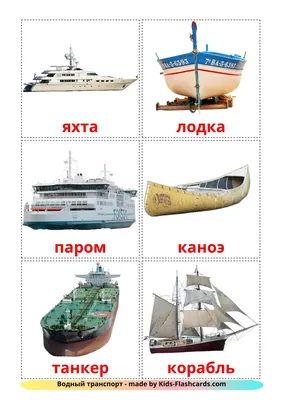 Общественный транспорт Москвы в новогоднюю ночь будет бесплатным