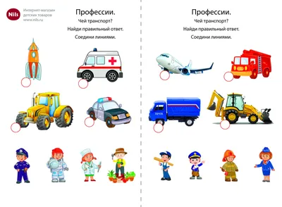 Общественный транспорт Санкт-Петербурга