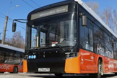 В каком городе дешевле всего ездить на общественном транспорте