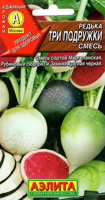 три девушки обнимаются на поле, картинки с цитатами о дружбе, цитировать,  дизайн фон картинки и Фото для бесплатной загрузки