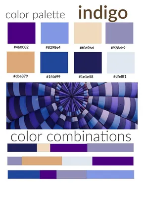 indigo color palette | Purple color schemes, Color palette, Rich color  palette