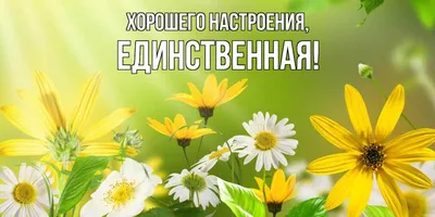 Купить Букет Для хорошего настроения 💐 в СПБ недорого с бесплатной  доставкой | Amsterdam Flowes