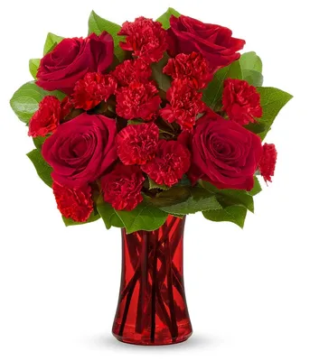 Rose flower pictures, Beautiful roses, Love rose flower, Beautiful, rose  finte - srd.ngo