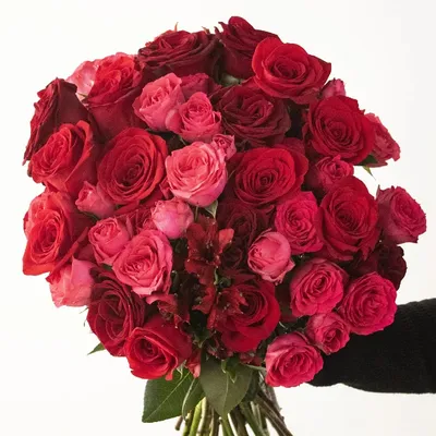 Love and valentine's day concept. Happy handsome young man giving beautiful  bouquet red roses for his girlfriend. Cheerful smiling young women received  bouquet of flowers from her boyfriend. Stock Photo | Adobe