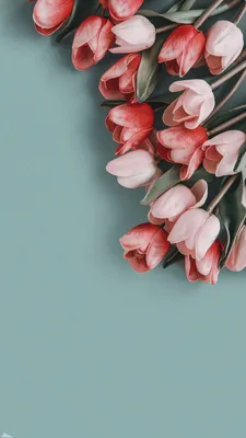 Обои на телефон | Flower iphone wallpaper, Rose gold wallpaper iphone, Gold  wallpaper iphone