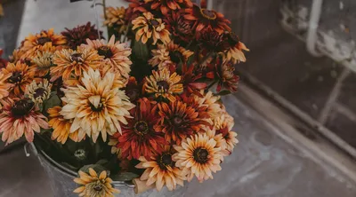 Pumpkin and Flower Centerpiece | Thirsty Radish