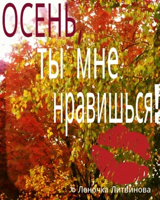 Уэст К.: P.S. Ты мне нравишься