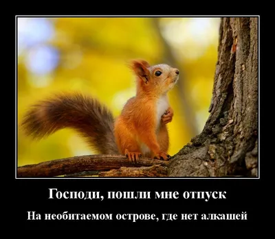 Мне 43 года и я устала.От работы и от домашних обязанностей.\" | Обо всём |  Дзен