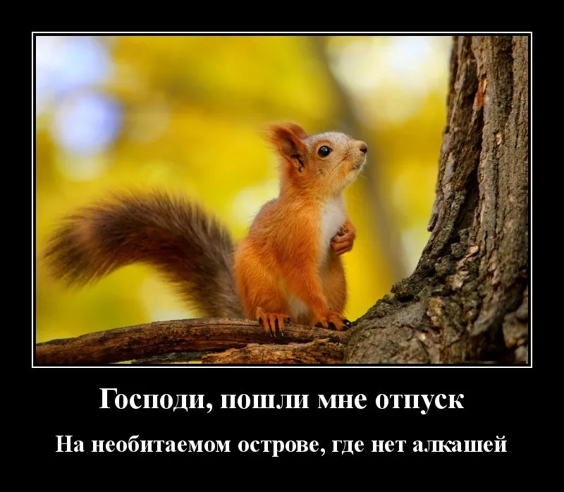 Мне 43 года и я устала.От работы и от домашних обязанностей.\" | Обо всём | Дзен Мне 43 года и я устала.От работы и от домашних обязанностей.\" | Обо всём | Дзен