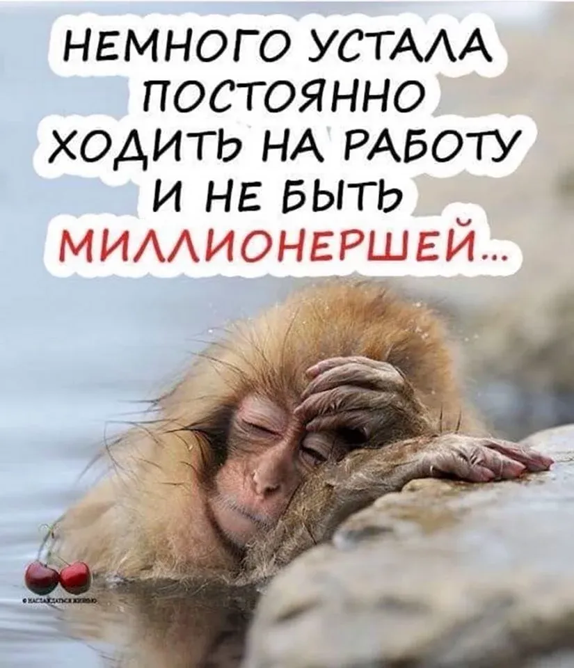 Прикольные картинки про усталость с надписью (44 фото) Прикольные картинки про усталость с надписью (44 фото)