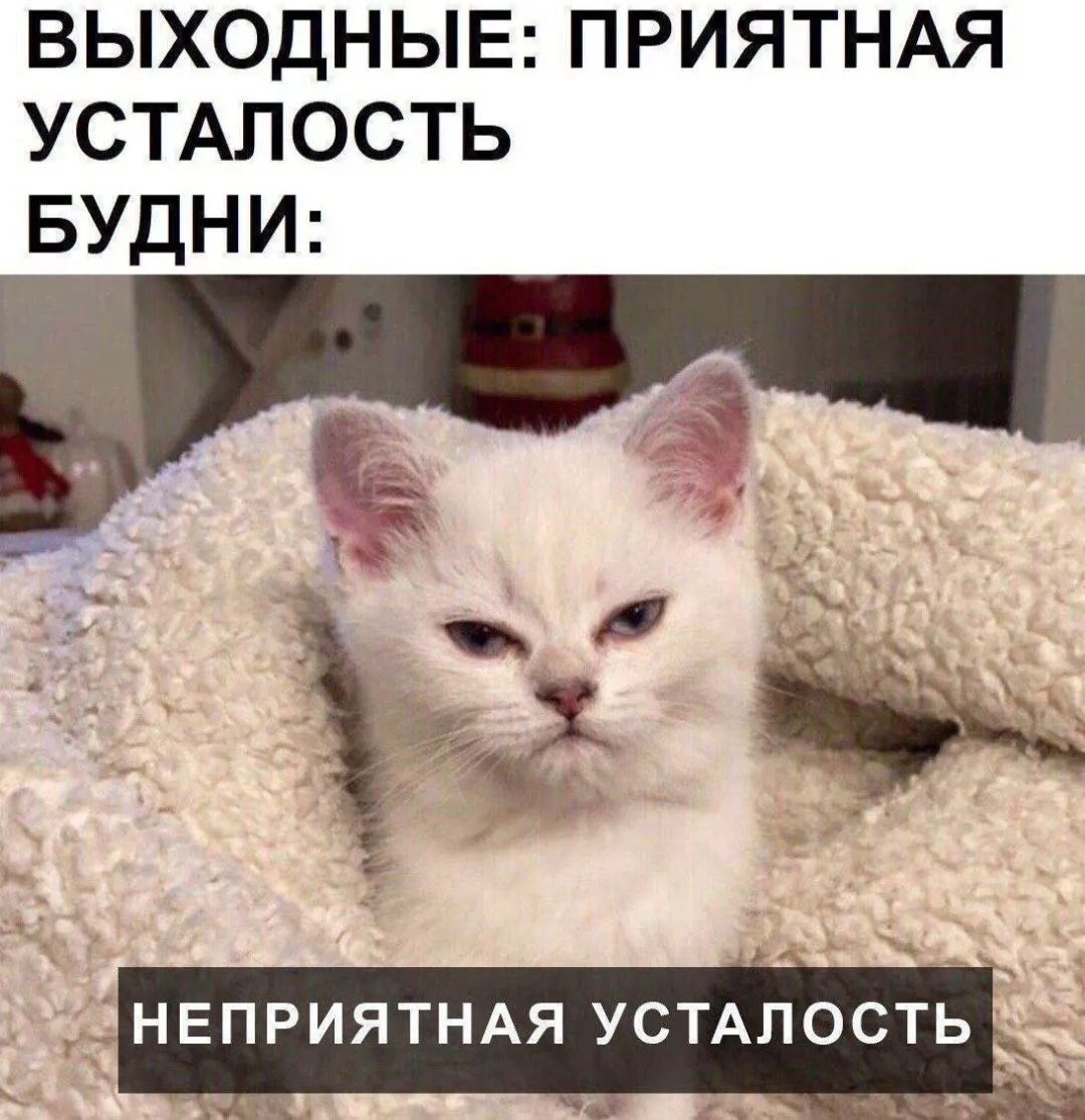 Усталость от работы, девушка в …» — создано в Шедевруме Усталость от работы, девушка в …» — создано в Шедевруме