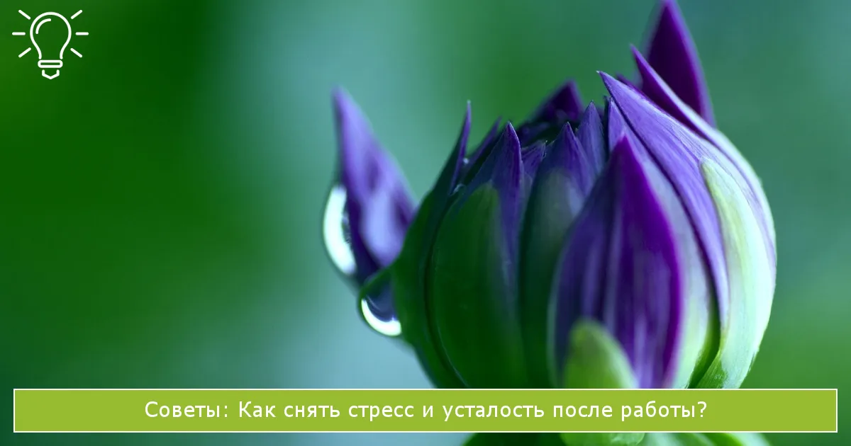 Бизнесмен Спит На Работе Сидит За Столом Усталость На Работе Концепция Karoshi Смерти От Переутомления Или Чрезмерного Нервного Напряжения — стоковые фотографии и другие картинки Беспроводная технология - iStock Бизнесмен Спит На Работе Сидит За Столом Усталость На Работе Концепция Karoshi Смерти От Переутомления Или Чрезмерного Нервного Напряжения — стоковые фотографии и другие картинки Беспроводная технология - iStock