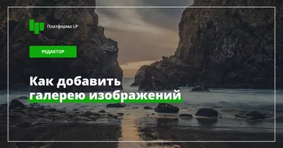 Как сохранить фотографии из ВатсАпа на Android