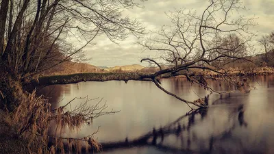 Картинки в отличном качестве на рабочий стол фотографии