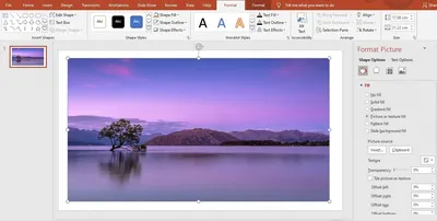 PowerPoint 101: The Ultimate Guide for Beginners