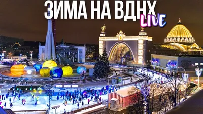 Каток на ВДНХ 2023-2024