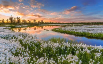 Картинки весна в россии фотографии