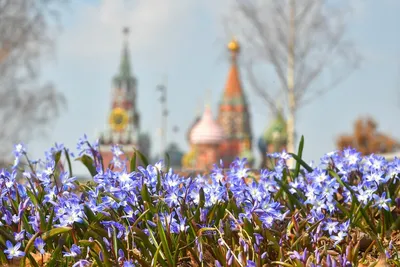 Spring in Russia. Google🌧 vs Yandex🌿 | by Elena Konnova | Medium