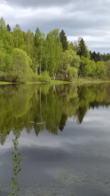 Праздник весны и труда в России