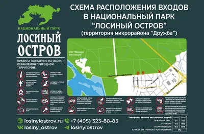 Яндекс ID запустил беспарольный вход по картинке