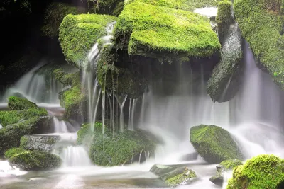 Ниагарский водопад