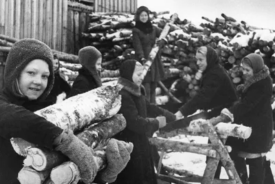 Настроения в частях Красной армии накануне Великой Отечественной войны (на  примере Архангельского военного округа) — Новости — Центр истории и  социологии Второй мировой войны и ее последствий — Национальный  исследовательский университет «Высшая школа ...