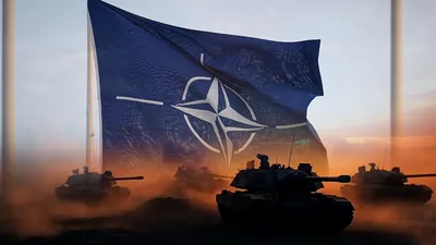 Войны наносят тяжелый ущерб природе | Новости ООН
