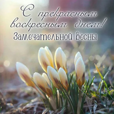 Доброе утро красивые открытки картинки утренние сообщения цитаты инстаграм  сторис | Открытки, Доброе утро, Картинки
