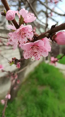 sm1rnovamari - 🌞ДОБРОЕ УТРО ВОСКРЕСЕНЬЯ!🌞 . Вчера зима, а сегодня весна!  Погода не даёт скучать! .😉 #утро #воскресенье #март #весна #солнце  #настроение #красота #здоровье #смирновамарина | Facebook