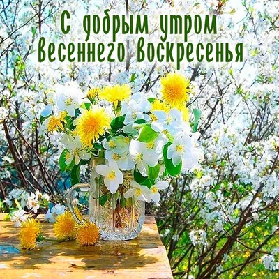 Картинки воскресенье доброе утро весна прикольные с надписями (58 фото)