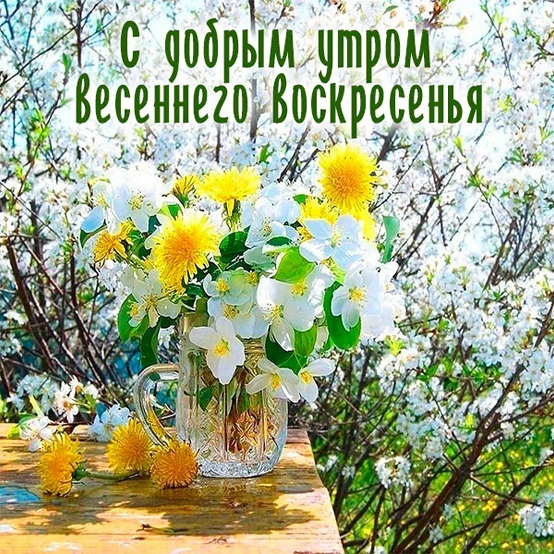 Картинки воскресенье доброе утро весна прикольные с надписями (58 фото) Картинки воскресенье доброе утро весна прикольные с надписями (58 фото)