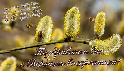 Весна идёт! Весне дорогу! | Сильно заметнаЯ | Дзен