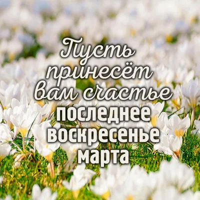 Весна и исцеление души: что нужно делать в Вербное воскресенье, а от чего  лучше воздержаться