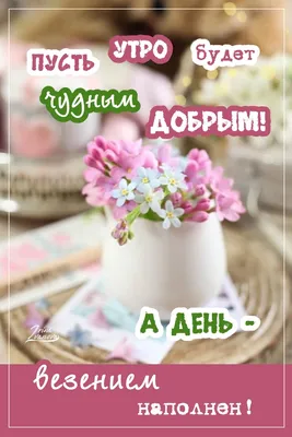 А в следующее воскресенье Весна! ~ Gif-анимация (Весна)