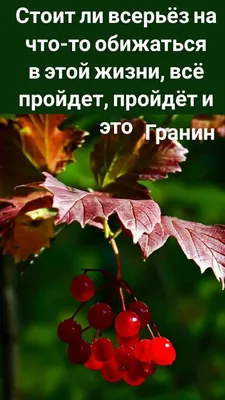 Ответы Mail.ru: Кто знает как правильно перевести фразу \"Всё пройдет ...и это  тоже\" на арабский?? ? Переводчики все по разному переводят