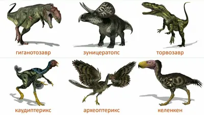 Дорожка для программы Динопати реалистичные Динозавры Варианты игры:  1.Посчитать всех динозавров 2.Назвать виды динозавров, которые узнали… |  Instagram