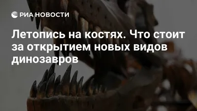 Исследование: в Азии разнообразие динозавров сократилось перед массовым  вымиранием