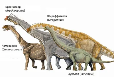 Динозавры - красивые картинки (100 фото) • Прикольные картинки и позитив