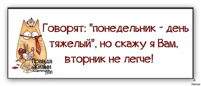 Понедельник День Тяжёлый Вторник Тоже | TikTok