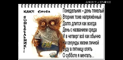 Гороскоп на неделю: пересмотрите свое отношение к окружающим — Улус Медиа